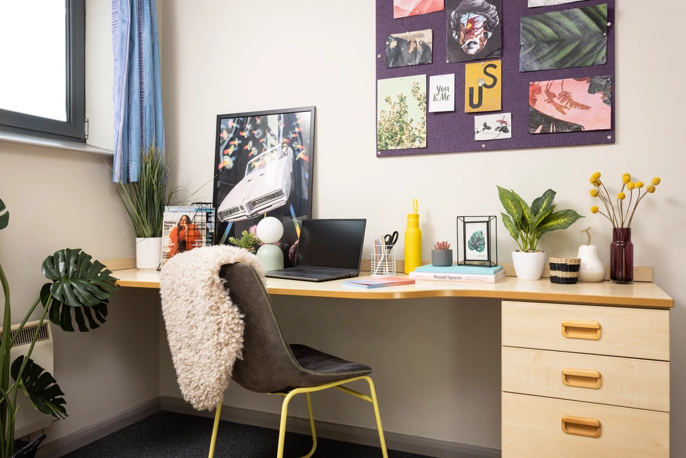 room picture