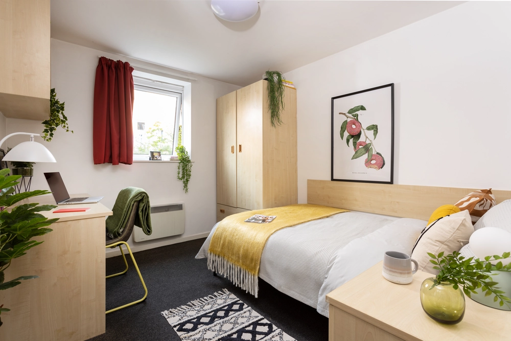 room picture