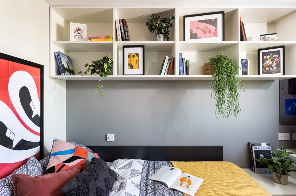 room picture