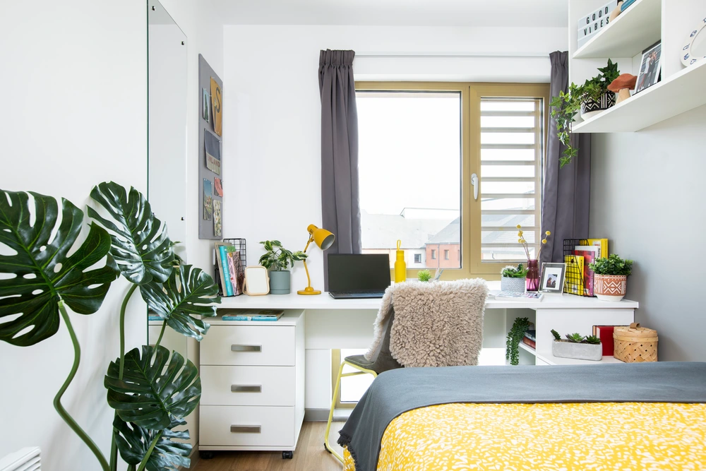 room picture