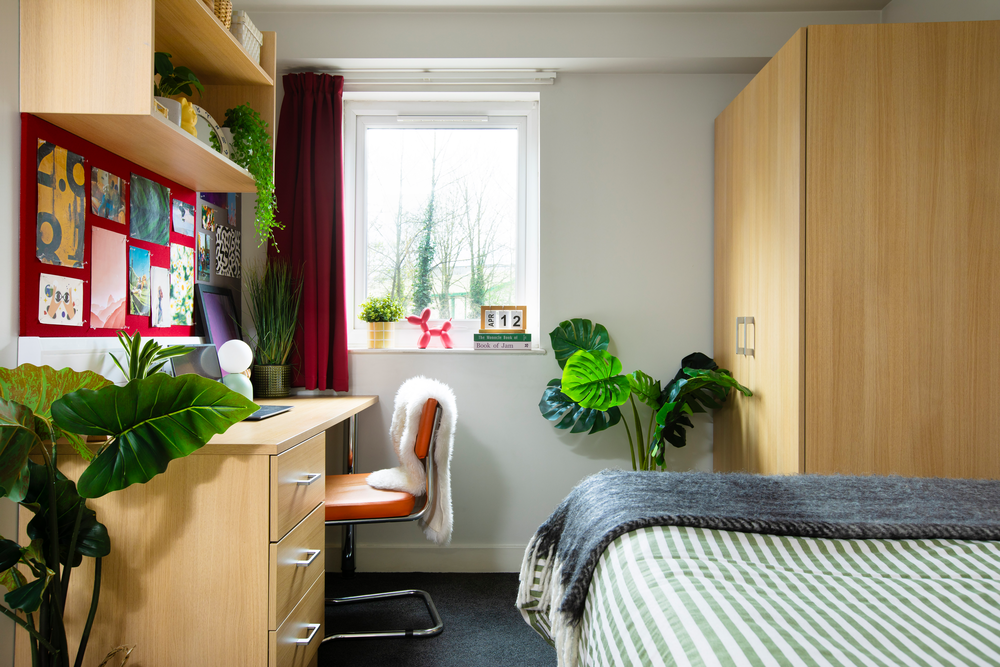 room picture