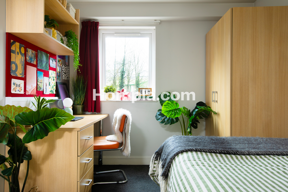 room picture