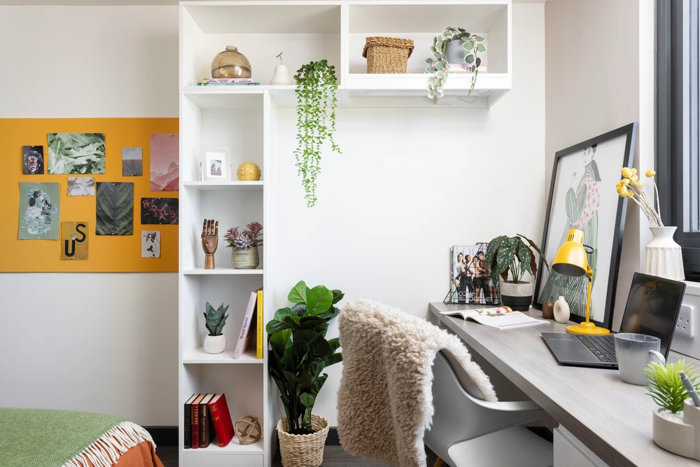 room picture