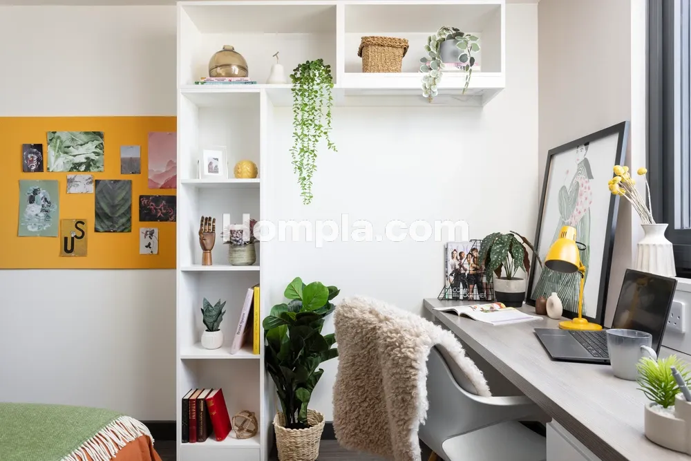 room picture