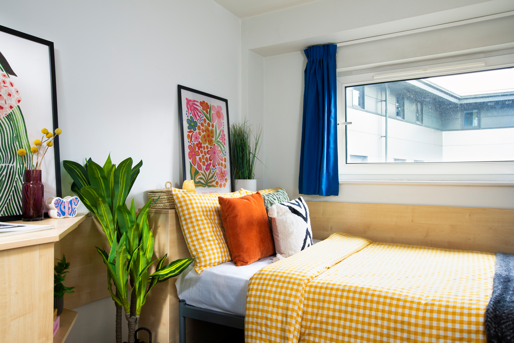 room picture