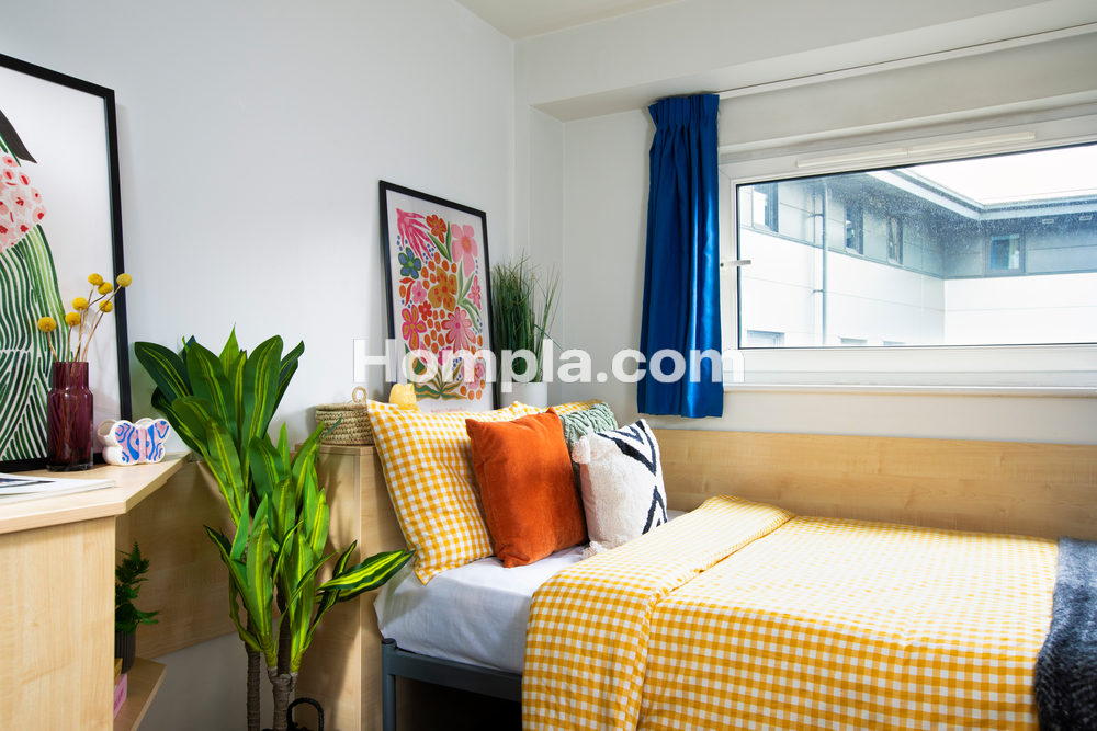 room picture