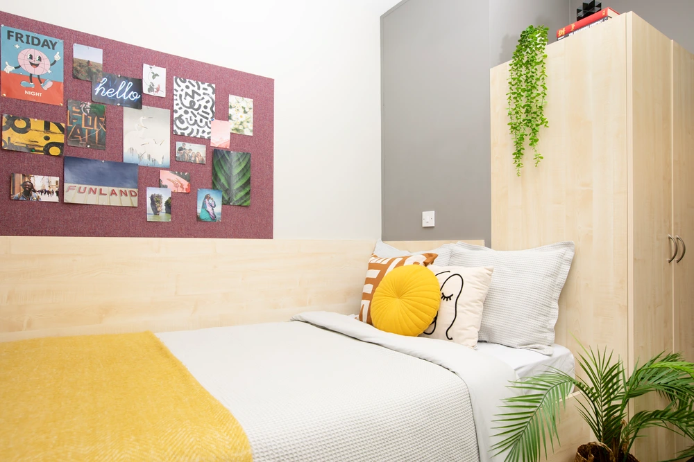 room picture