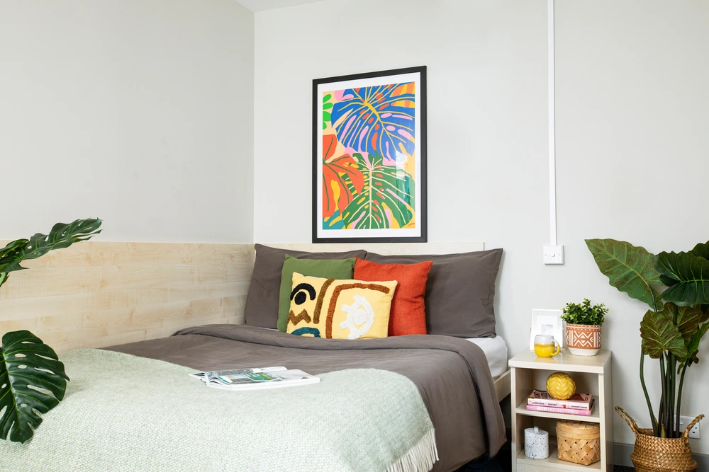 room picture
