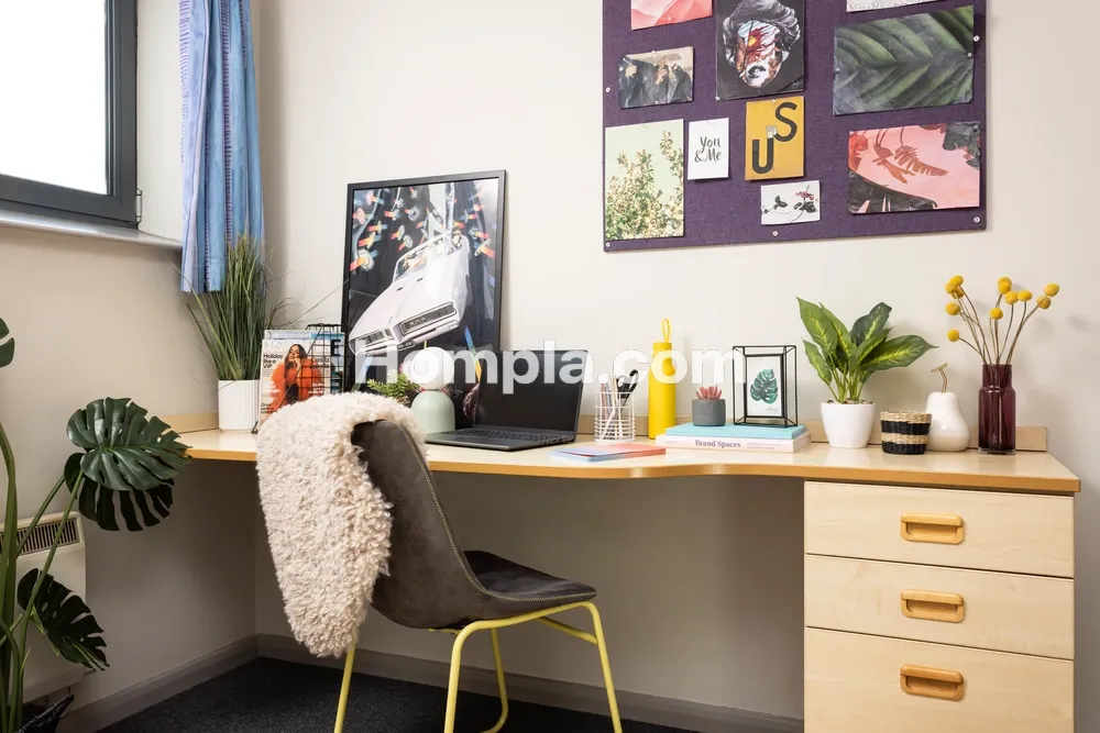 room picture