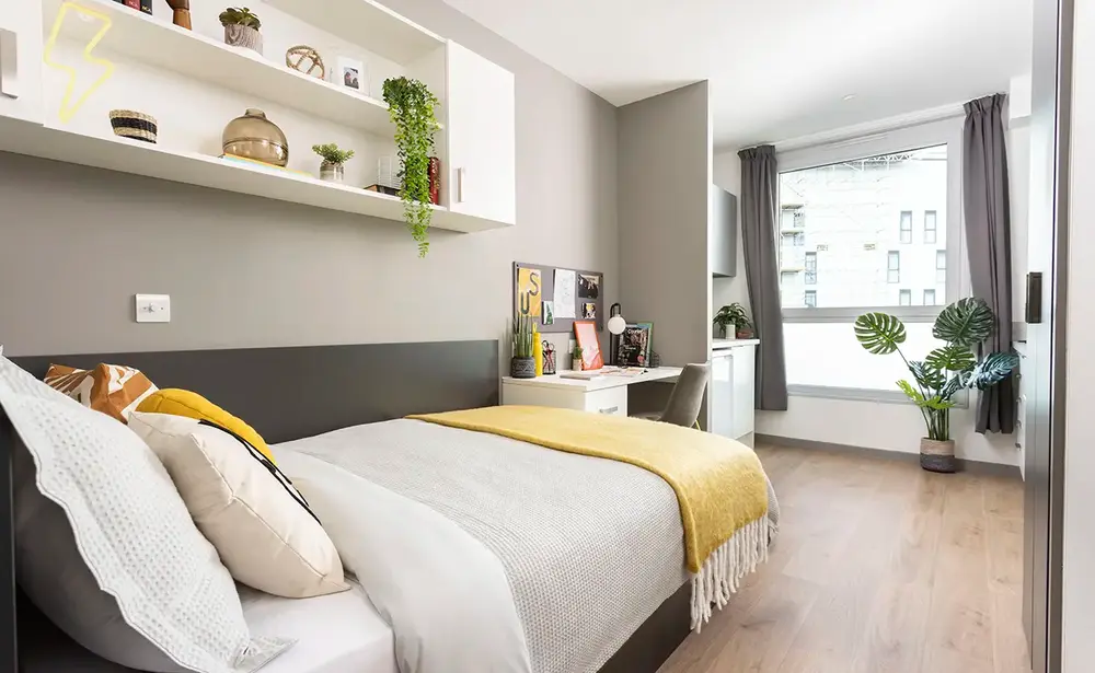 room picture