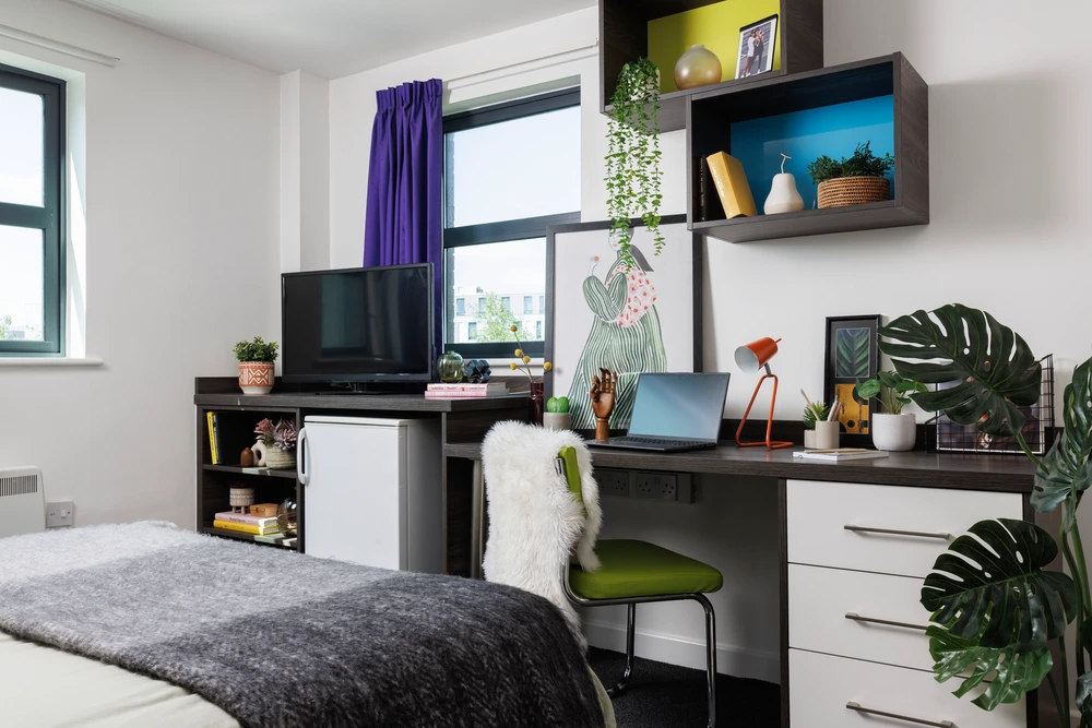 room picture