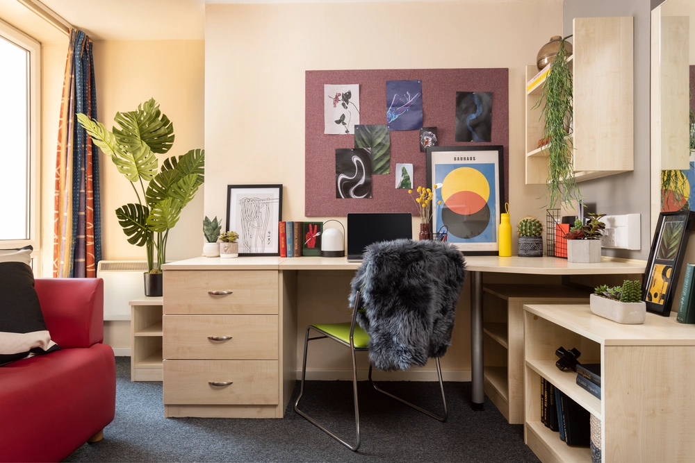 room picture