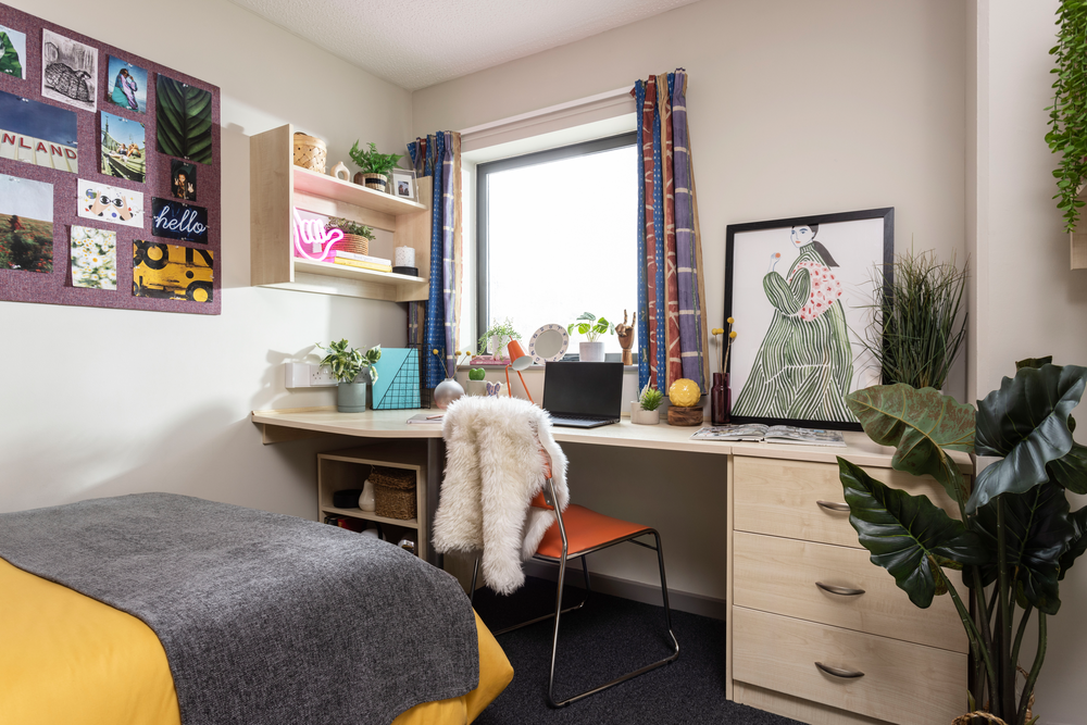 room picture