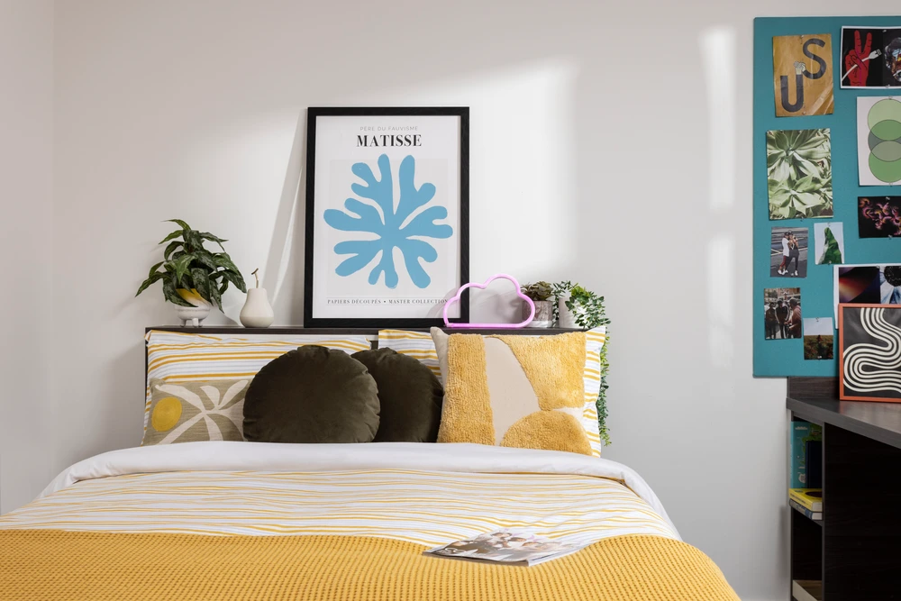 room picture