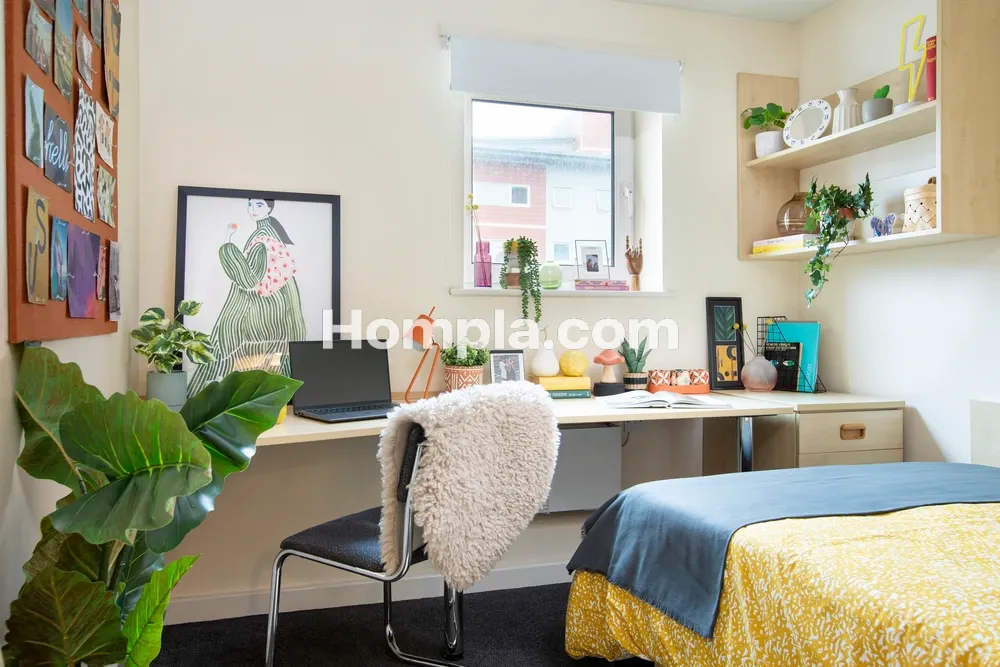 room picture