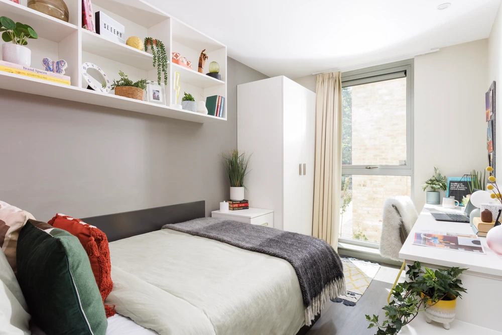room picture