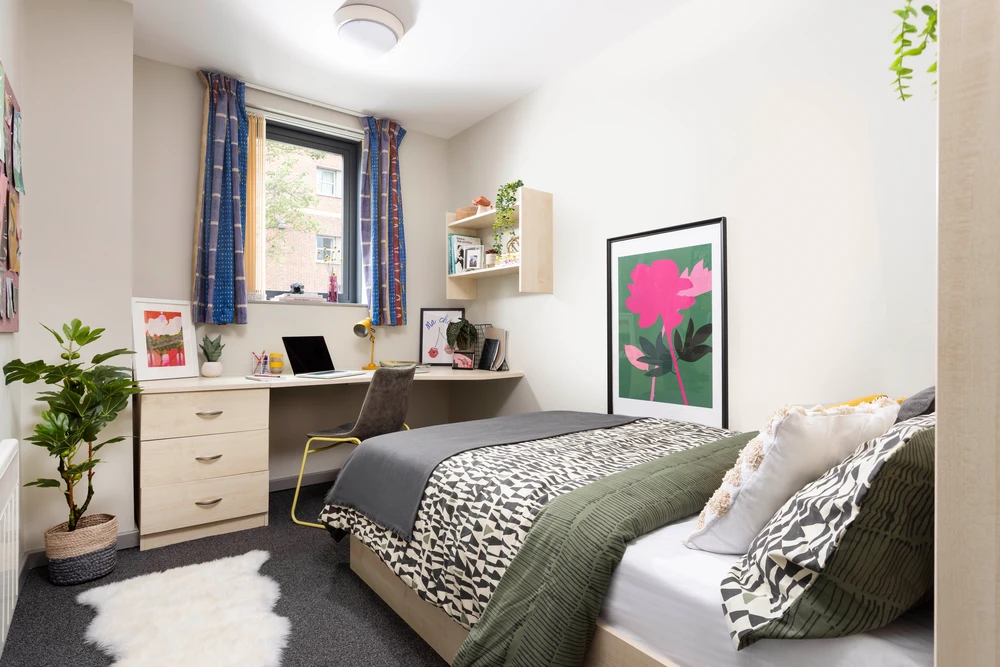 room picture