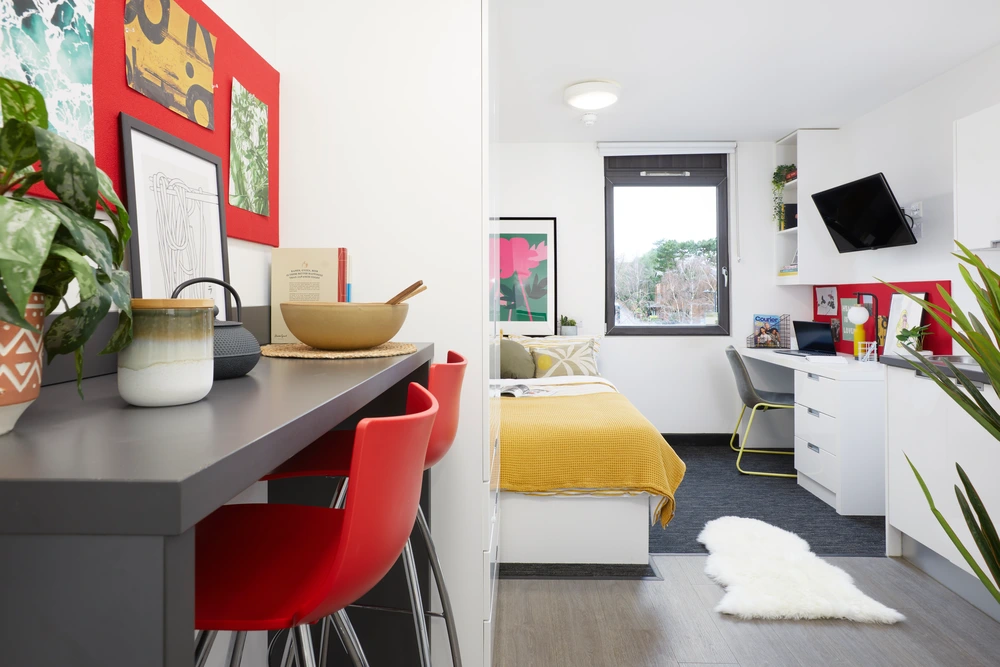 room picture