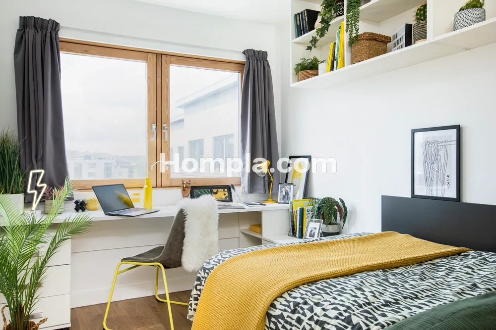 room picture