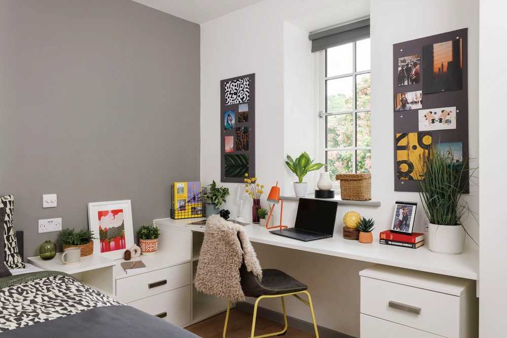 room picture