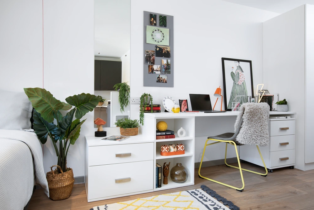 room picture