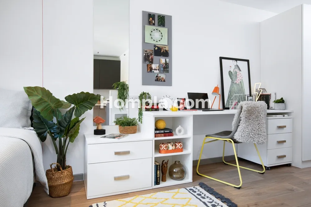 room picture